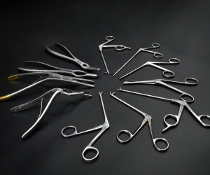 Nasenzange – Nagetiere