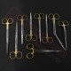 Gubisch Complete Rhinoplasty Instruments Set