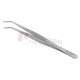 College Pliers Forceps #317 - Serrated Angled Jaws