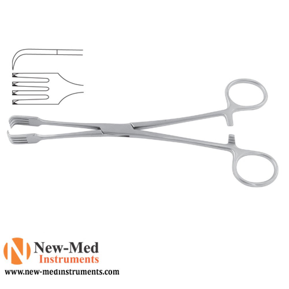 Czerny Tenaculum Forceps, Stainless Steel, 21cm,