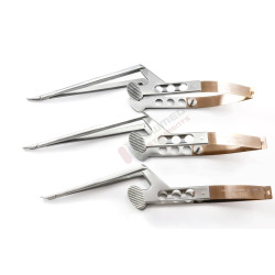 Kamiyama Mikro Kemirgen Kamiyama Mikro Kemirgen