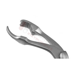 Pince à maintien des os Verbrugge Pince à maintien des os Verbrugge