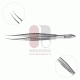 Castroviejo Colibri Corneal Forceps Castroviejo Colibri Corneal Forceps